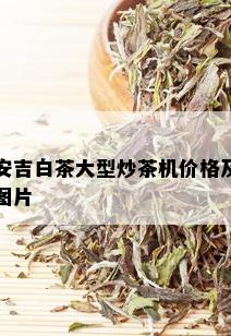 安吉白茶大型炒茶机价格及图片