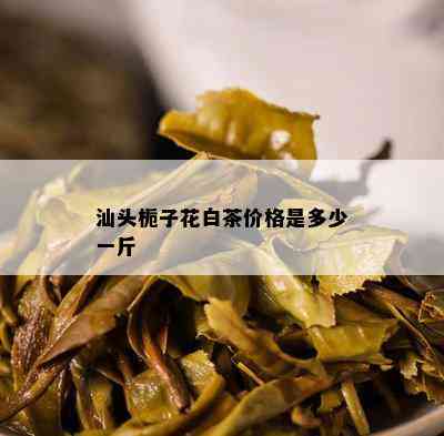 汕头栀子花白茶价格是多少一斤