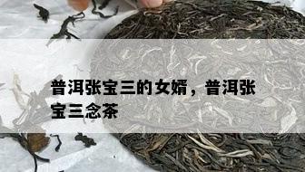 普洱张宝三的女婿，普洱张宝三念茶