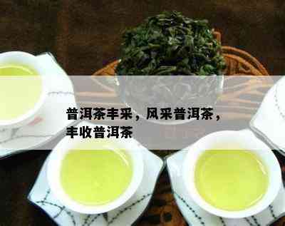 普洱茶丰采，风采普洱茶，丰收普洱茶