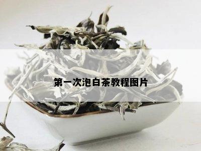 之一次泡白茶教程图片