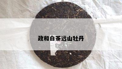 政和白茶远山牡丹