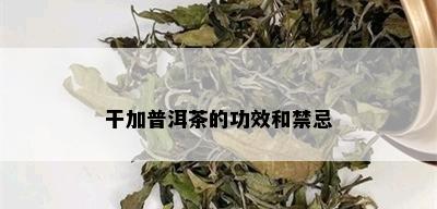 干加普洱茶的功效和禁忌