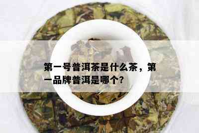 之一号普洱茶是什么茶，之一品牌普洱是哪个?