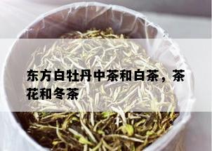 东方白牡丹中茶和白茶，茶花和冬茶