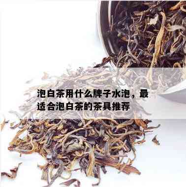 泡白茶用什么牌子水泡，最适合泡白茶的茶具推荐