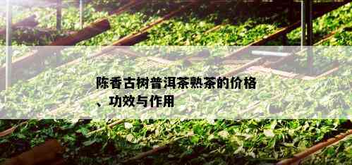 陈香古树普洱茶熟茶的价格、功效与作用