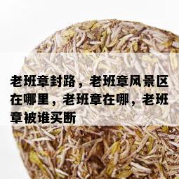 老班章封路，老班章风景区在哪里，老班章在哪，老班章被谁买断