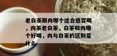 老白茶跟肉哪个适合感冒喝，肉茶老白茶，白茶和肉哪个好喝，肉与白茶的区别是什么