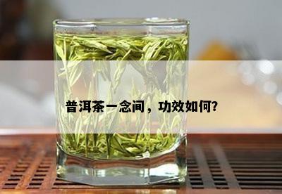 普洱茶一念间，功效如何？