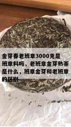 金芽春老班章3000克是班章料吗，老班章金芽熟茶是什么，班章金芽和老班章的区别