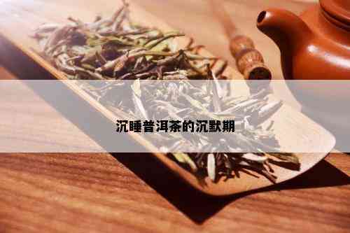 沉睡普洱茶的沉默期