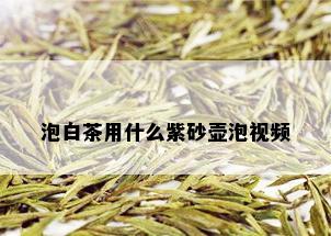 泡白茶用什么紫砂壶泡视频