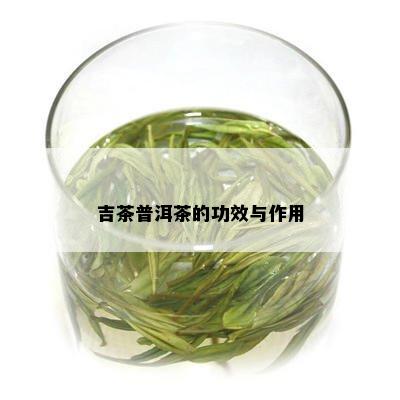 吉茶普洱茶的功效与作用