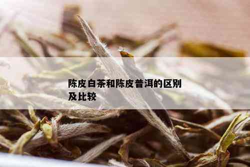 陈皮白茶和陈皮普洱的区别及比较