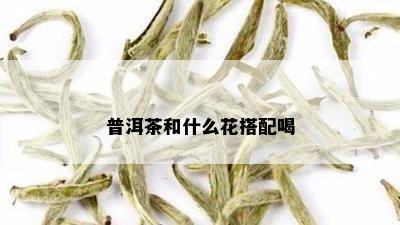 普洱茶和什么花搭配喝