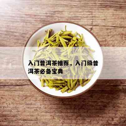 入门普洱茶推荐，入门级普洱茶必备宝典