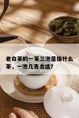 老白茶的一茶三泡是指什么茶，一泡几克合适？