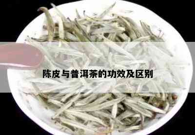 陈皮与普洱茶的功效及区别