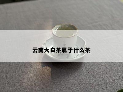 云南大白茶属于什么茶