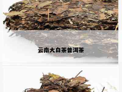 云南大白茶普洱茶