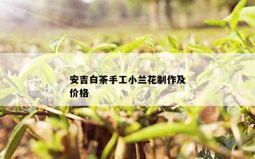 安吉白茶手工小兰花制作及价格