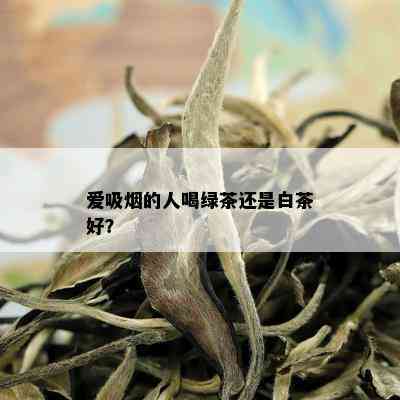 爱吸的人喝绿茶还是白茶好？