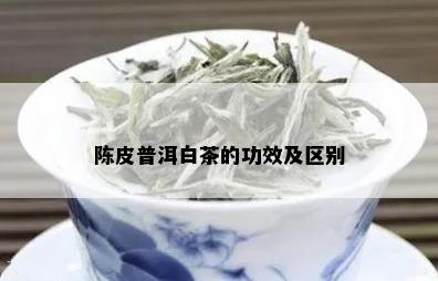 陈皮普洱白茶的功效及区别