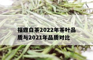 福鼎白茶2022年茶叶品质与2021年品质对比