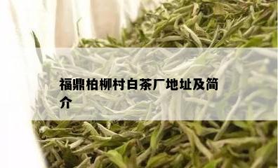 福鼎柏柳村白茶厂地址及简介