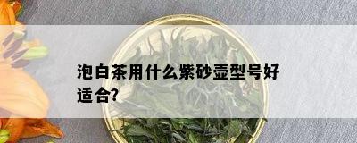 泡白茶用什么紫砂壶型号好适合？