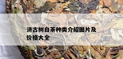 济古树白茶种类介绍图片及价格大全