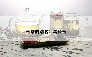 莓茶的别名：乌蔹莓