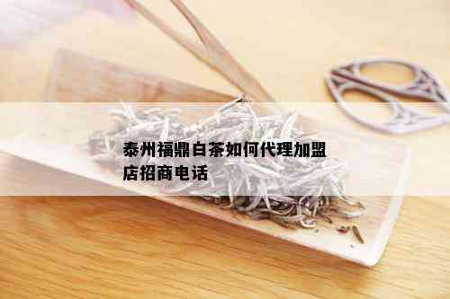 泰州福鼎白茶如何代理加盟店招商电话