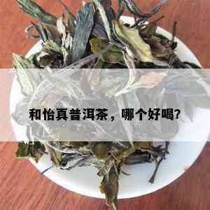 和怡真普洱茶，哪个好喝？