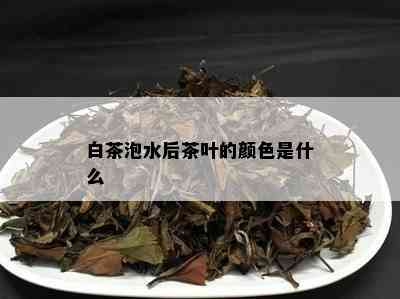 白茶泡水后茶叶的颜色是什么