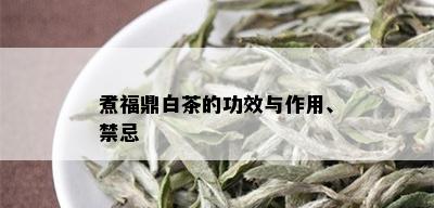 煮福鼎白茶的功效与作用、禁忌