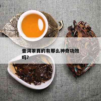 普洱茶真的有那么神奇功效吗？