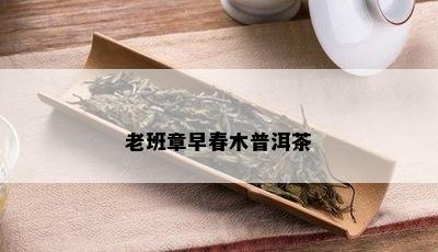 老班章早春木普洱茶