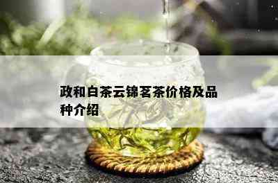 政和白茶云锦茗茶价格及品种介绍