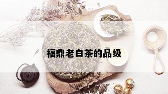 福鼎老白茶的品级