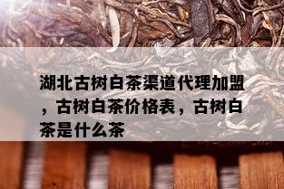 湖北古树白茶渠道代理加盟，古树白茶价格表，古树白茶是什么茶