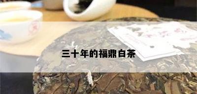 三十年的福鼎白茶