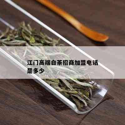 江门高端白茶招商加盟电话是多少