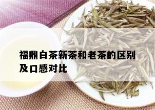 福鼎白茶新茶和老茶的区别及口感对比