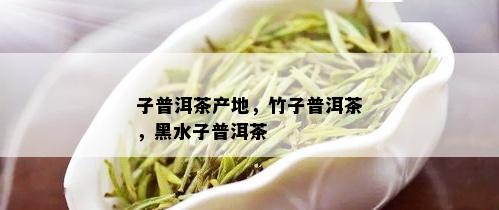 子普洱茶产地，竹子普洱茶，黑水子普洱茶