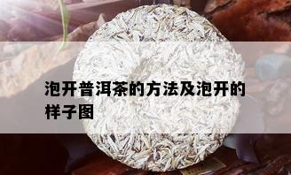 泡开普洱茶的方法及泡开的样子图