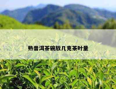 熟普洱茶碗放几克茶叶量