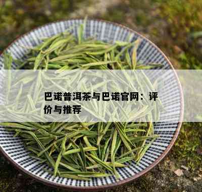 巴诺普洱茶与巴诺官网：评价与推荐