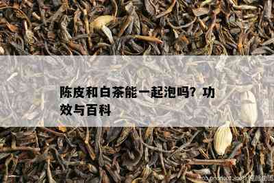 陈皮和白茶能一起泡吗？功效与百科